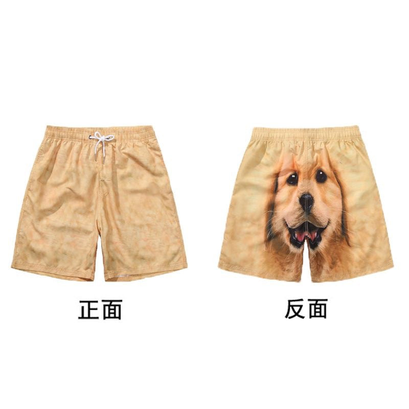 Cute Golden Retriever Shorts Casual Pants Funny Dog Head Shorts Pajama Pants Sports Shorts Men