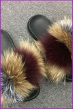 peopleterritory Three Colors Raccoon Sliders DF012