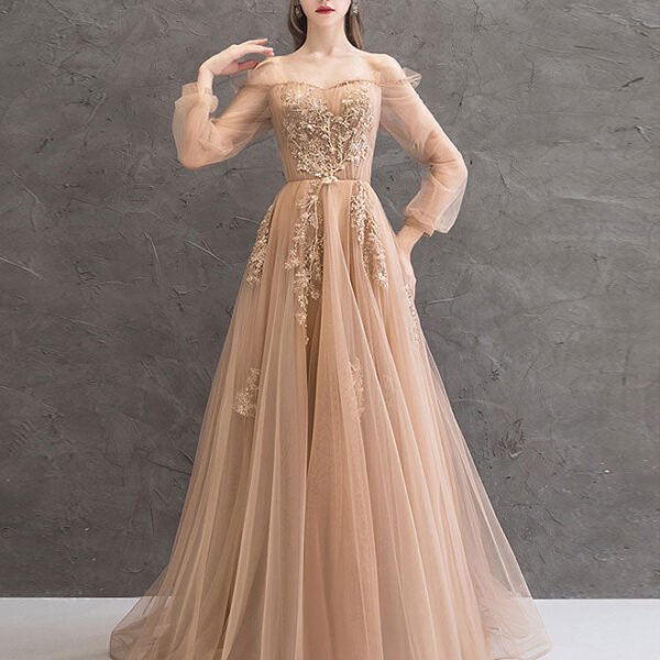 Champagne Tulle Lace Long Prom Dress Champagne Tulle Evening Dress